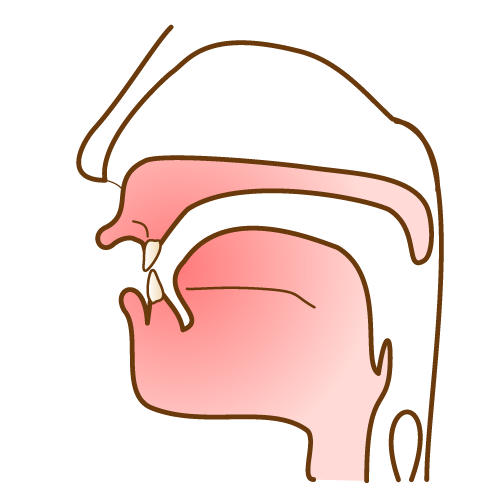 開咬（オープンバイト）のオーバーバイトに関してのイラスト（顔面の矢状断）